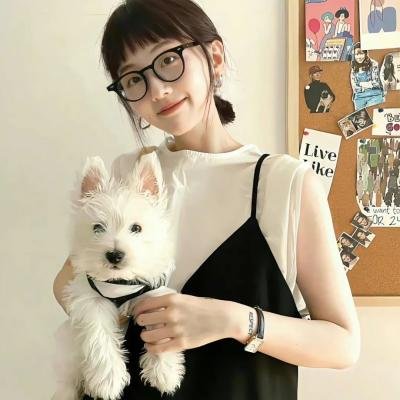 樱花启程 海报